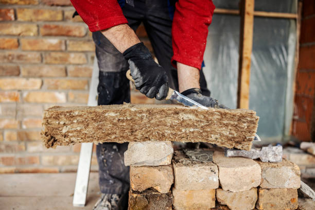 Best Best Insulation Companies  in Meridian, CO